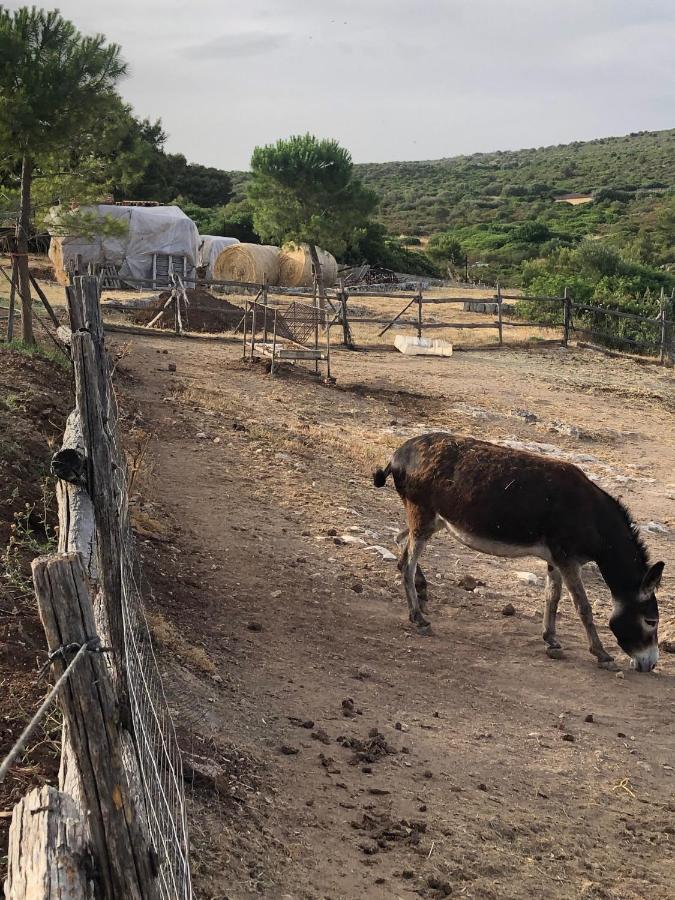 Villino Odaldo Mottola Eksteriør billede